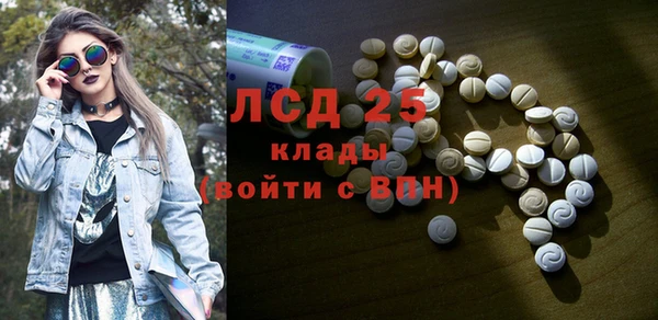 стаф Нея