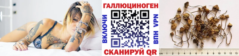 дарк нет телеграм  mega рабочий сайт  Южно-Сахалинск  Псилоцибиновые грибы GOLDEN TEACHER 