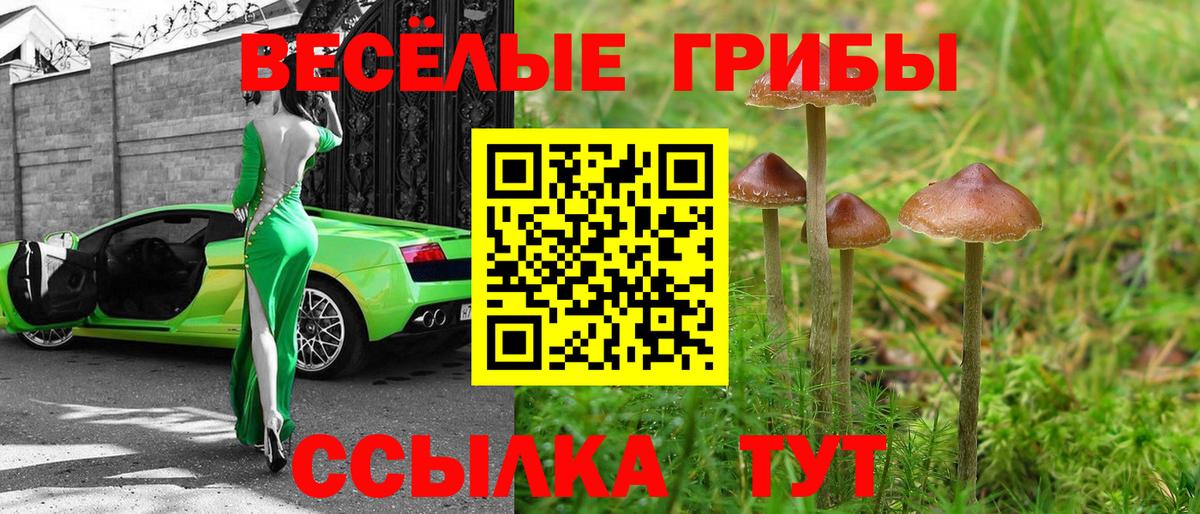 Галлюциногенные грибы Cubensis Южно-Сахалинск