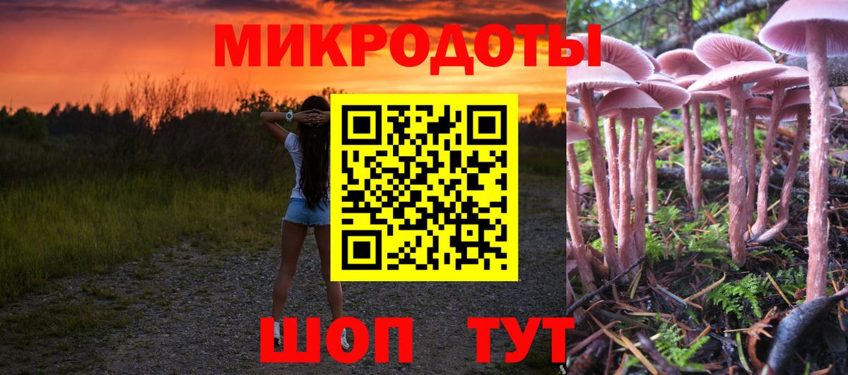 цена   Галлюциногенные грибы Psilocybine cubensis  Вход с VPN  Южно-Сахалинск  Галлюциногенные грибы мухоморы 